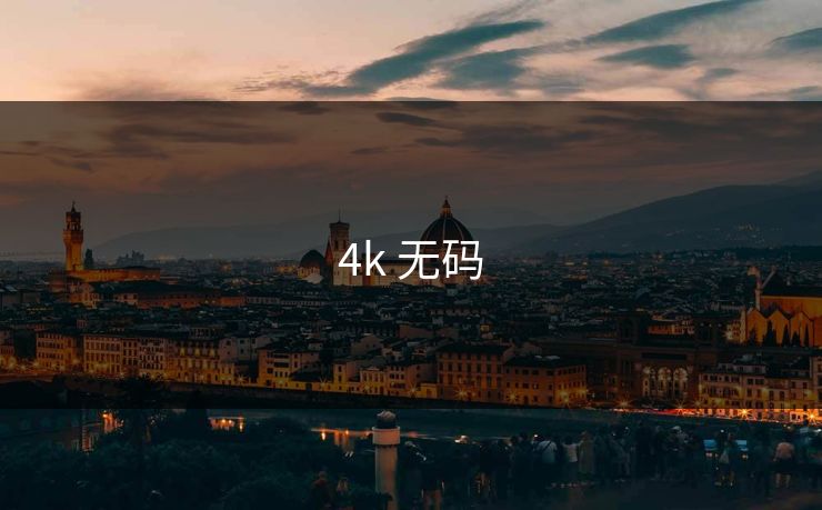 4k 无码