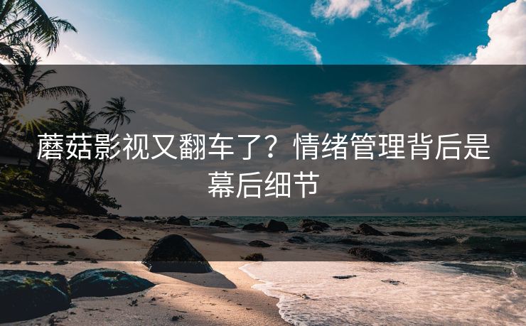 蘑菇影视又翻车了？情绪管理背后是幕后细节